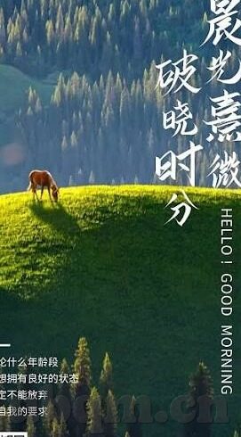 亚洲av日韩av天堂一区二区三区-探索亚洲与日韩AV文化，一区、二区、三区的多元视角
